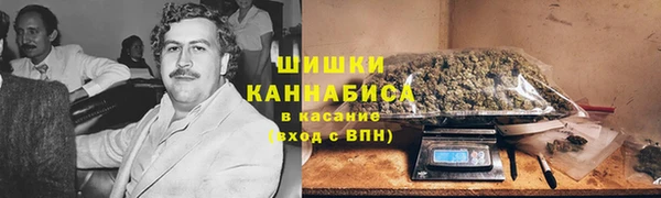 прущий лед Заводоуковск