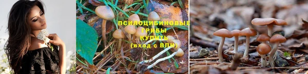 герыч Гусев