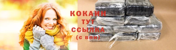 дурь Гусиноозёрск