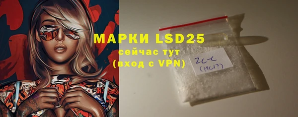 дурь Гусиноозёрск