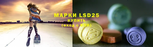 мяу мяу мука Гусь-Хрустальный