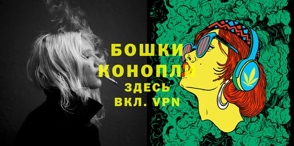 мяу мяу мука Гусь-Хрустальный