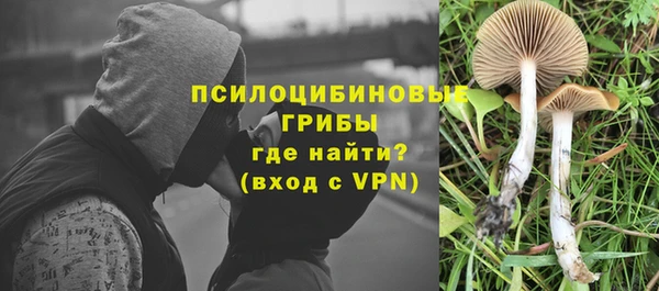 дурь Гусиноозёрск