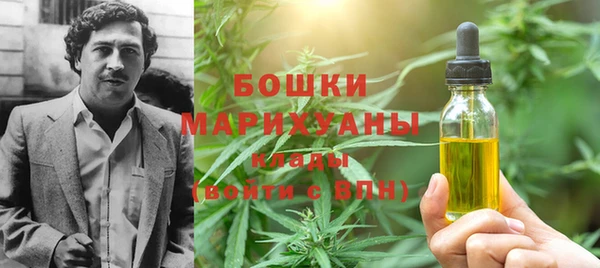 мяу мяу мука Гусь-Хрустальный